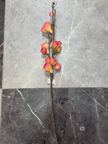 عروق تين