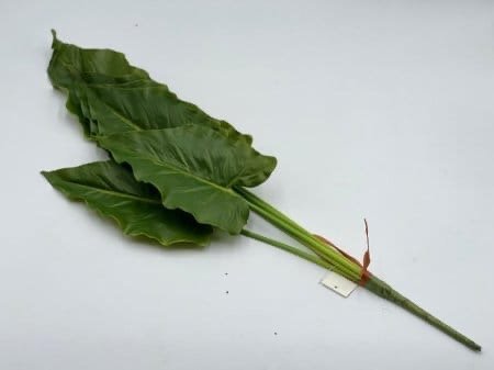 ‏عروق خضار كبير