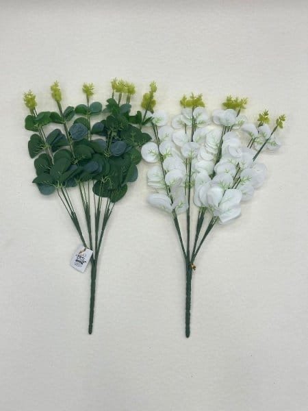 ‏زعتر