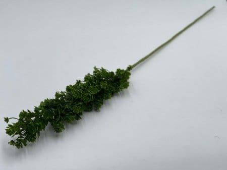 ‏عرق أخضر