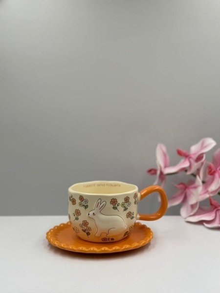 مج ارنوب