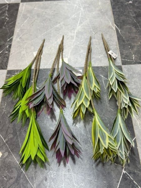 عروق خضار