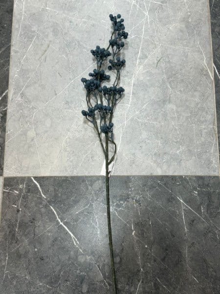 عرق بلوبري