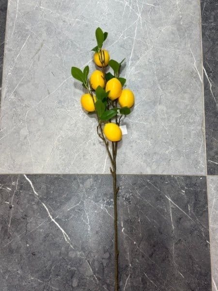 عروق ليمون