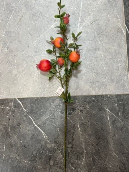 عروق رمان
