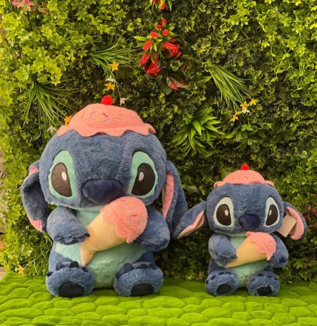 ستيتش مع بوظه