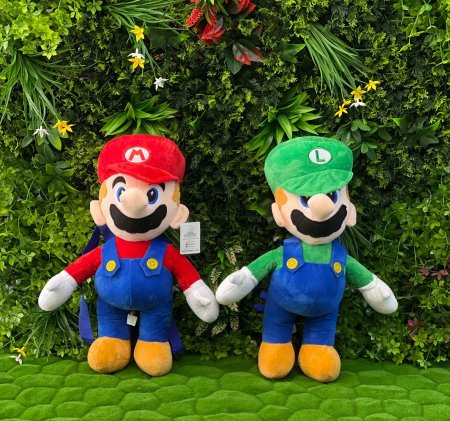 ماريو مع شنته