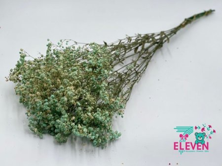 تركوازوبيج