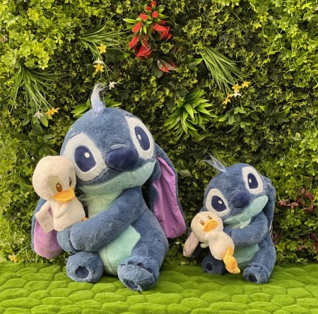 ستيتش مع بطه