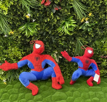 سبايدر مان جالس