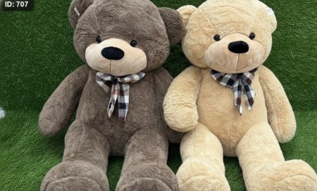 دب مع فيونكة